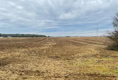 Teren intravilan de 400 mp, în Măgurele - 6