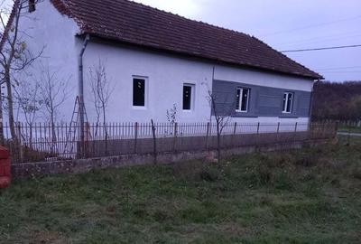 Vand Casa renovata in Taut - 4