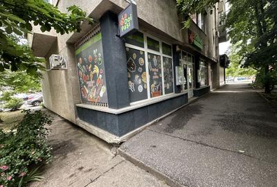 Spațiu comercial, de 137 mp, în Aradului - 5
