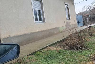 Casă cu Teren 1200 Mp în Bulgăruș - 4