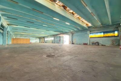 Spațiu industrial, de 6,132 mp, în Aradul Nou - 23