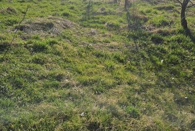 Teren de 1225 mp, în Republicii - 3