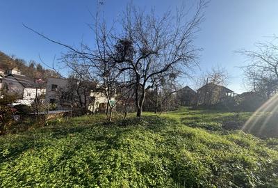 Teren de vanzare Valea Rosie - 1