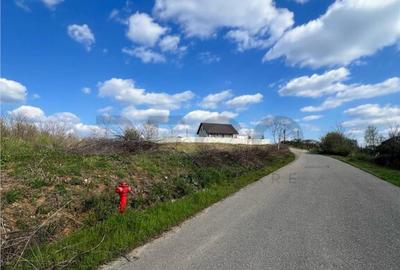 RECO teren de in zona Paleu - 10