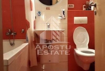 Apartament cu 2 camere decomandat, mobilat în Circumvalațiunii - 10