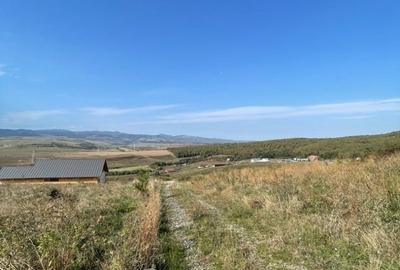 Teren de 2200 mp, în Ciurila