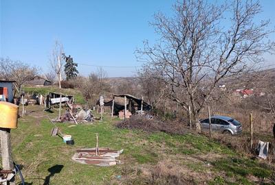 Teren Construcții intravilan de 83000 mp, în Vorovești - 7