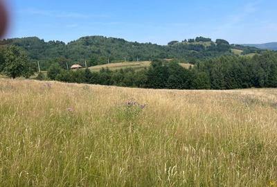 Teren intravilan I Loc deosebit, inconjurat de padure I Vladeasa - 2