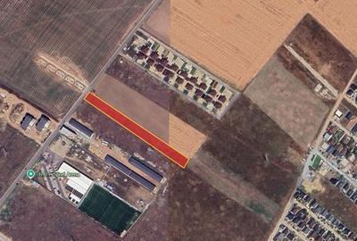 Teren de 5000 mp, în Dobroești