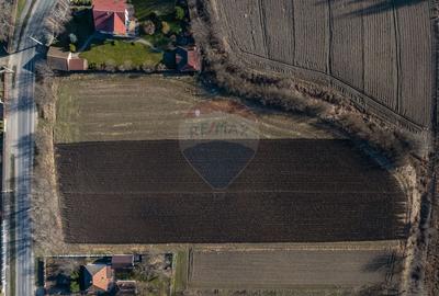 Teren Construcții intravilan de 9000 mp, în Stupini - 10