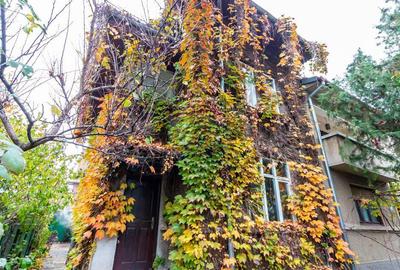 Vila Individuala 5 camere Domenii-Agronomie 178mpu Parcar... - 2