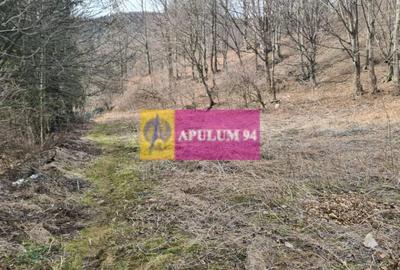 Teren de vânzare în Sinaia - Platou Izvor - 2