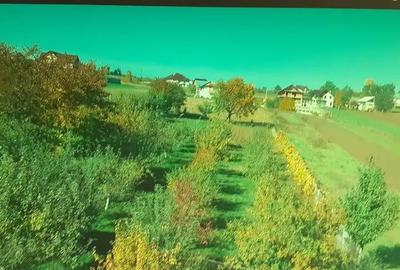 Casă cu 5 camere în Lisaura - 1