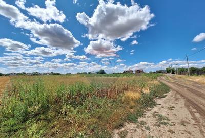 Teren Focsanei / DN sat Focsanei Vadu Pasii - 3