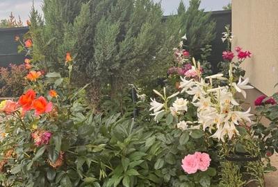 Casă individuală cu 5 camere cu Teren 750 Mp în Corbeanca - 15