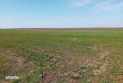 Teren de 5800 mp, în Avrămeni - 2