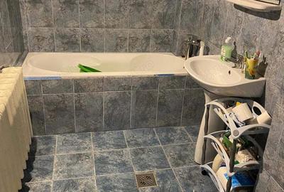 Vand sau schimb, 1439 mp, sat Bodo - 3