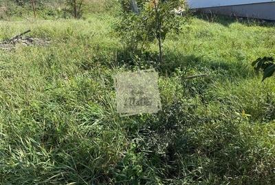 Casa individuala cu 2 camere si 495 mp teren in Sura Mare - 4