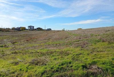 Teren 6.000 mp in Peri?, aproape de Bucure?ti ideal pentru locuin?a sau investi?ie - 4