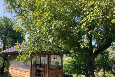 Casă cu 3 camere în Chiojdeni - 5