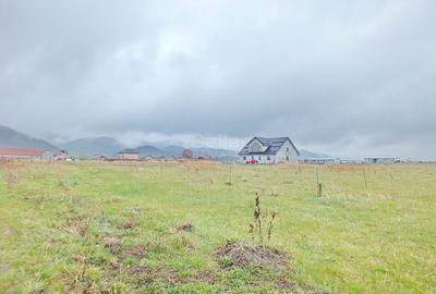 Teren Constructie Casa - 3