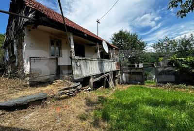 Casa la munte cu teren generos de 9340mp in zona Capalna - Valea Sebesului - 9
