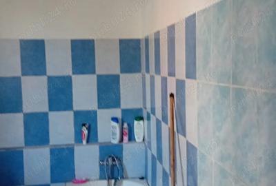 Vanzare imobil curte Vanzare imobil curte - 7