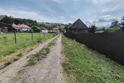 Teren Construcții intravilan de 3672 mp, în Nord-Est - 7