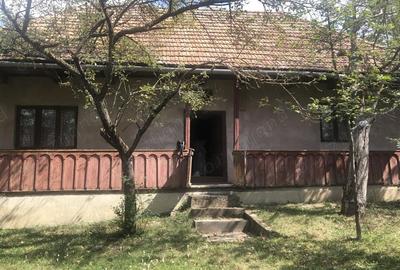 Casă cu 2 camere în Mărtănuș - 10