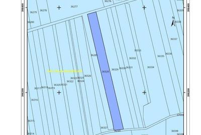 Teren agricol 2.6ha, Tulcea, Valea Nucarilor - 5