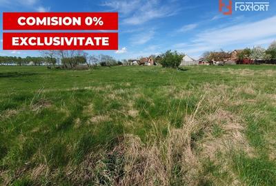 Teren Construcții intravilan de 3000 mp, în Pădureni (Jebel) - 6