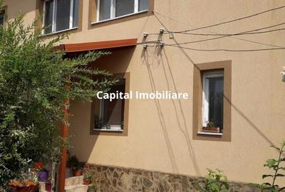 Villa for sale, 2 Apartments, 220mp, Ineu - 3
