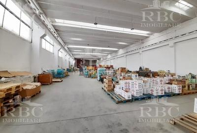 Spatii depozitare in hala industriala modernizata zona CUG