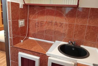 Apartament cu 1 camere de vânzare în zona Confectii - 19
