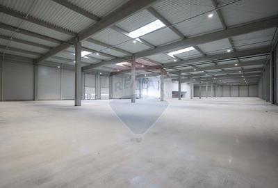 Hala de vanzare, Sc 7014mp, Zona Biharia - 13