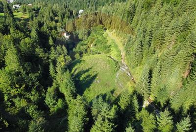 Teren agricol extravilan de 2895 mp, în Nord - 4