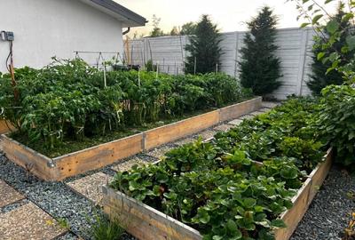 Teren anexa + livada, toate utilitățile - 13