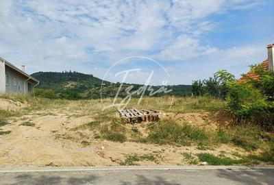 Teren intravilan de vanzare in Saliste - 7