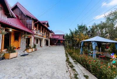 Vanzare pensiune renovata 2025 6 camere, Corb?ori (Poenari) - 5