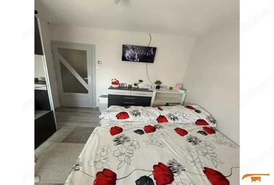 Apartament de Vanzare 2 camere COTUL--MIC,(malul Timisului). - 9