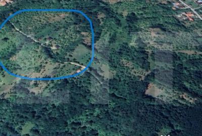 Teren în Schiulești - 12