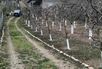 Casă cu 3 camere cu Teren 2800 Mp în Central - 11