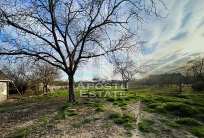 Teren de 1575 mp, în Sânnicolau Mic