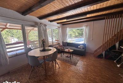 Casă cu 3 camere cu Teren 60 Mp în Băișoara - 5