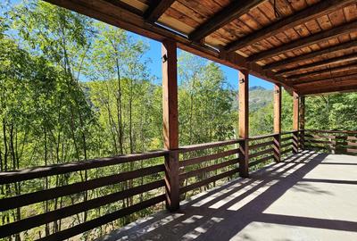 Cabana Lep?a, jud. Vrancea - Cheile Ti?i?ei - 6