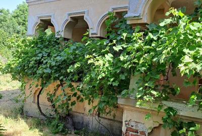 Casa tip boiereasca suprafa?a construita182 metri patra?i si teren 1800 in Arge? - 4