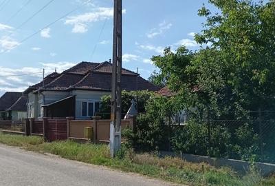 Csă de vânzare în sat Leorinț, comuna Rădești județul Alba - 1