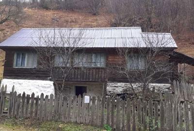 Casă cu 4 camere în Vale - 1