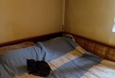 Casa individuala,  teren 1000mp  cu centrala termica pe gaz - 8