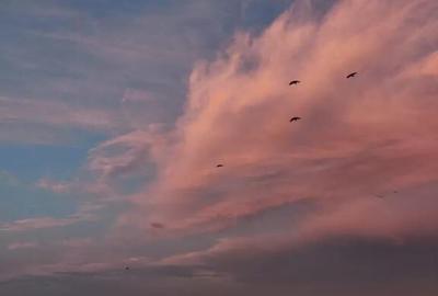 Vitan auchan olimpia etaj 9 - 8